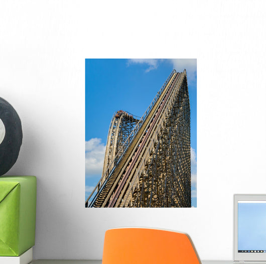 Roller Coaster Wall Mural