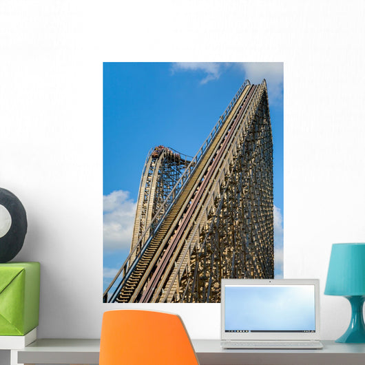 Roller Coaster Wall Mural