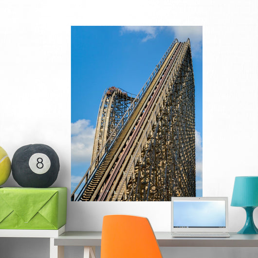 Roller Coaster Wall Mural