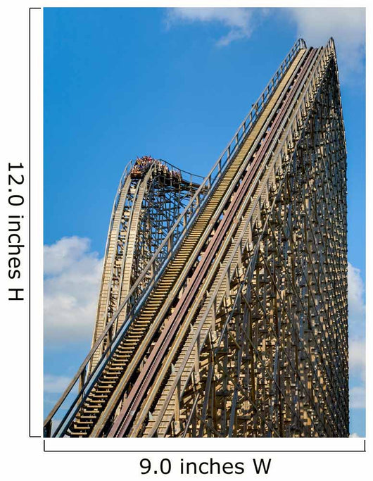 Roller Coaster Wall Mural
