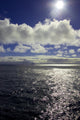 Ocean Wall Mural