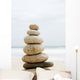 Zen Wall Mural