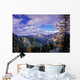Larch North Cascades Wall Mural