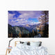 Larch North Cascades Wall Mural