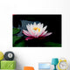 lotus Wall Mural