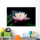 lotus Wall Mural