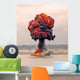 Explosion Wall Decal