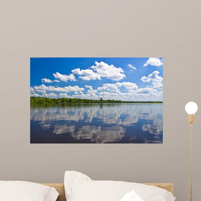 Wi River 3 Wall Mural shown on a wall