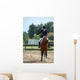 Salut De Dressage Wall Mural