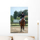 Salut De Dressage Wall Mural