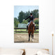 Salut De Dressage Wall Mural