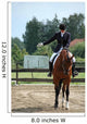 Salut De Dressage Wall Mural