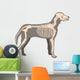 Dog Skeleton Wall Decal