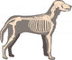 Dog Skeleton Wall Decal