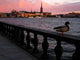 Stockholm Evening Wall Decal