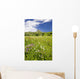 Alpine flower meadow Wall Mural