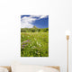 Alpine flower meadow Wall Mural