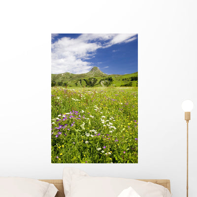 Alpine Flower Meadow Wall Mural shown on a wall