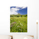 Alpine flower meadow Wall Mural