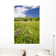 Alpine flower meadow Wall Mural
