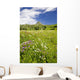 Alpine flower meadow Wall Mural