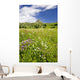 Alpine flower meadow Wall Mural