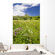Alpine flower meadow Wall Mural