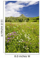 Alpine flower meadow Wall Mural