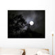 Full Moon 2 Wall Decal