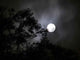 Full Moon 2 Wall Decal