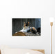 posing farm cat Wall Mural