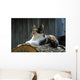 posing farm cat Wall Mural