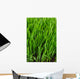 Grass Wall Mural