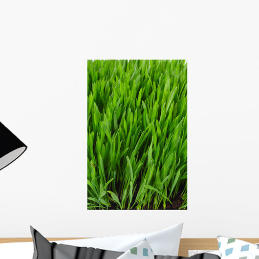 Grass Wall Mural