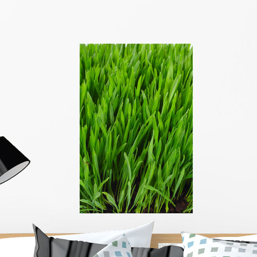 Grass Wall Mural