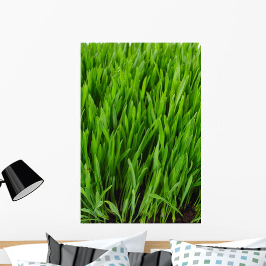 Grass Wall Mural