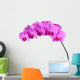 Orchid Wall Mural
