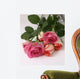Romantic Pink Roses Cut Wall Decal