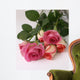 Romantic Pink Roses Cut Wall Decal