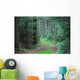 Forest road Wall Mural