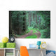 Forest road Wall Mural