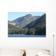 Nature Wall Mural