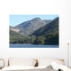 Nature Wall Mural