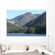 Nature Wall Mural