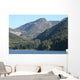 Nature Wall Mural