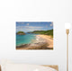 Praia Do Leao Wall Decal