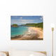 Praia Do Leao Wall Decal