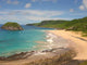 Praia Do Leao Wall Decal
