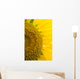 Sunflower Macro Wall Mural
