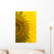 Sunflower Macro Wall Mural